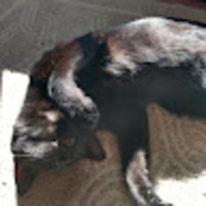 Meet your Posher, Dana